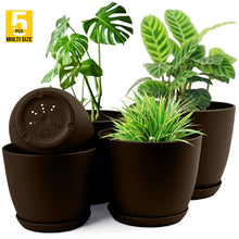 Plant Pots Indoor with Drainage - Pack of 5 Decorative Flower Pots for Indoor Plants Fast Forward