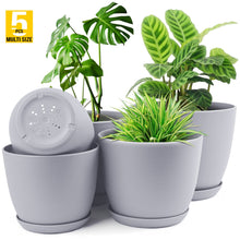 Plant Pots Indoor with Drainage - Pack of 5 Decorative Flower Pots for Indoor Plants Fast Forward