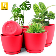 Plant Pots Indoor with Drainage - Pack of 5 Decorative Flower Pots for Indoor Plants without plants Fast Forward