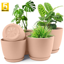 Plant Pots Indoor with Drainage - Pack of 5 Decorative Flower Pots for Indoor Plants Fast Forward