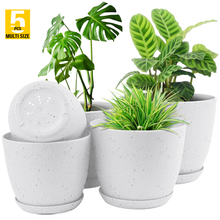 Plant Pots Indoor with Drainage - Pack of 5 Decorative Flower Pots for Indoor Plants without plants